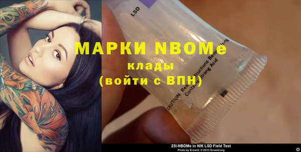 прущие грибы Балахна