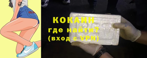 прущие грибы Балахна