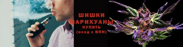 прущие грибы Балахна