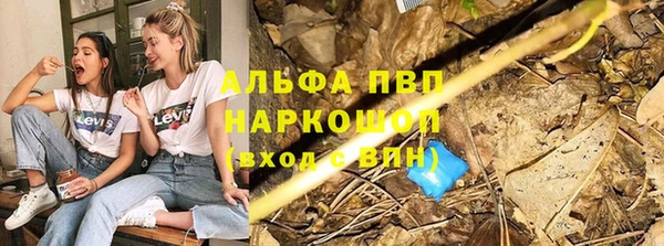 прущие грибы Балахна