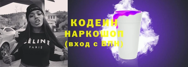прущие грибы Балахна
