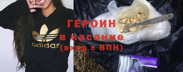прущие грибы Балахна